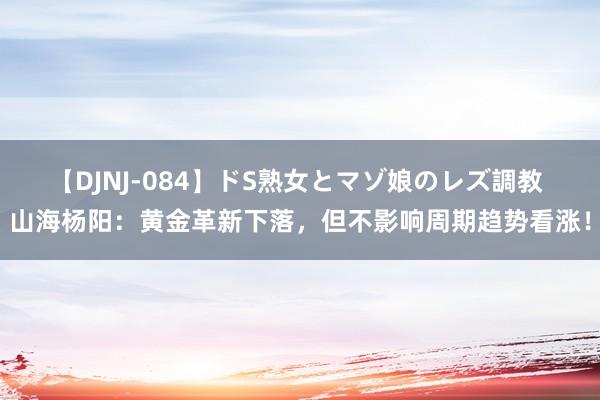 【DJNJ-084】ドS熟女とマゾ娘のレズ調教 山海杨阳：黄金革新下落，但不影响周期趋势看涨！