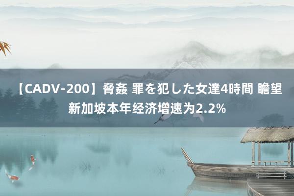 【CADV-200】脅姦 罪を犯した女達4時間 瞻望新加坡本年经济增速为2.2%