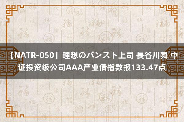 【NATR-050】理想のパンスト上司 長谷川舞 中证投资级公司AAA产业债指数报133.47点