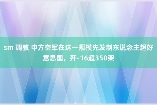 sm 调教 中方空军在这一规模先发制东说念主超好意思国，歼-16超350架